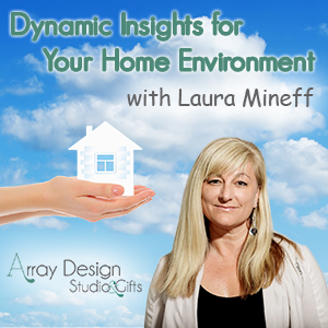 DYNAMIC INSIGHTS FOR YOUR HOME ENVIRONMENT TO FEATURE DISCUSSION ON THE BETTER MEDICARE ALLIANCE