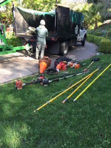 equipement for tree cutting
