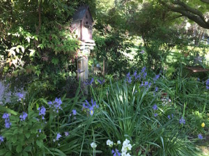 Wood hyacinths-birdhouse