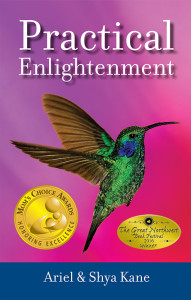 practical-enlightement-cover-awards-HR