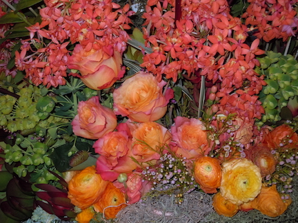 clivia, roses, euphorbia.jpg