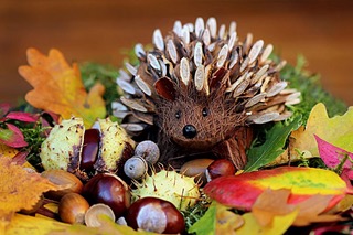 Fall hedgehog.jpeg