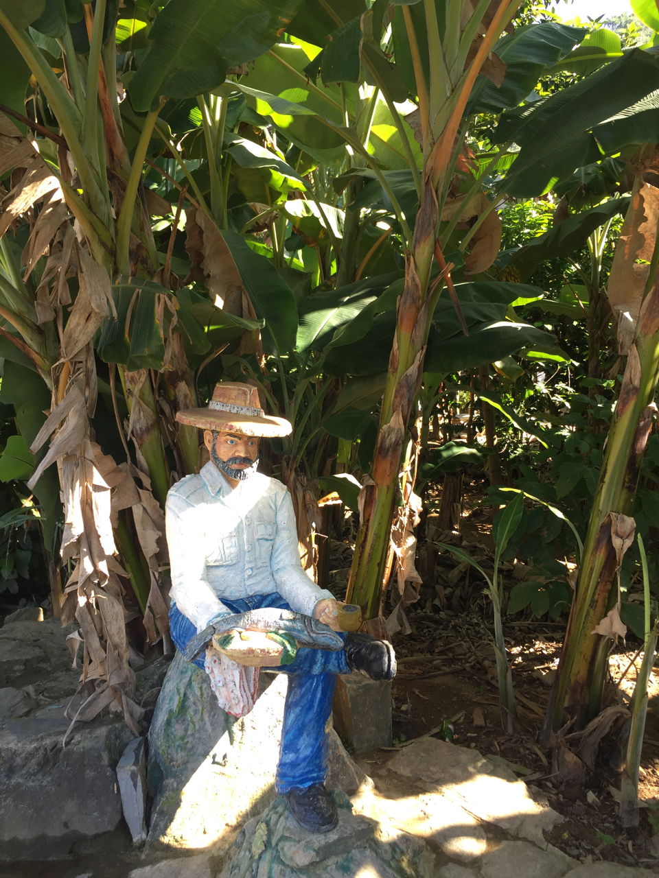 Cuba 2018-carving of pescadore at banana tree.jpg
