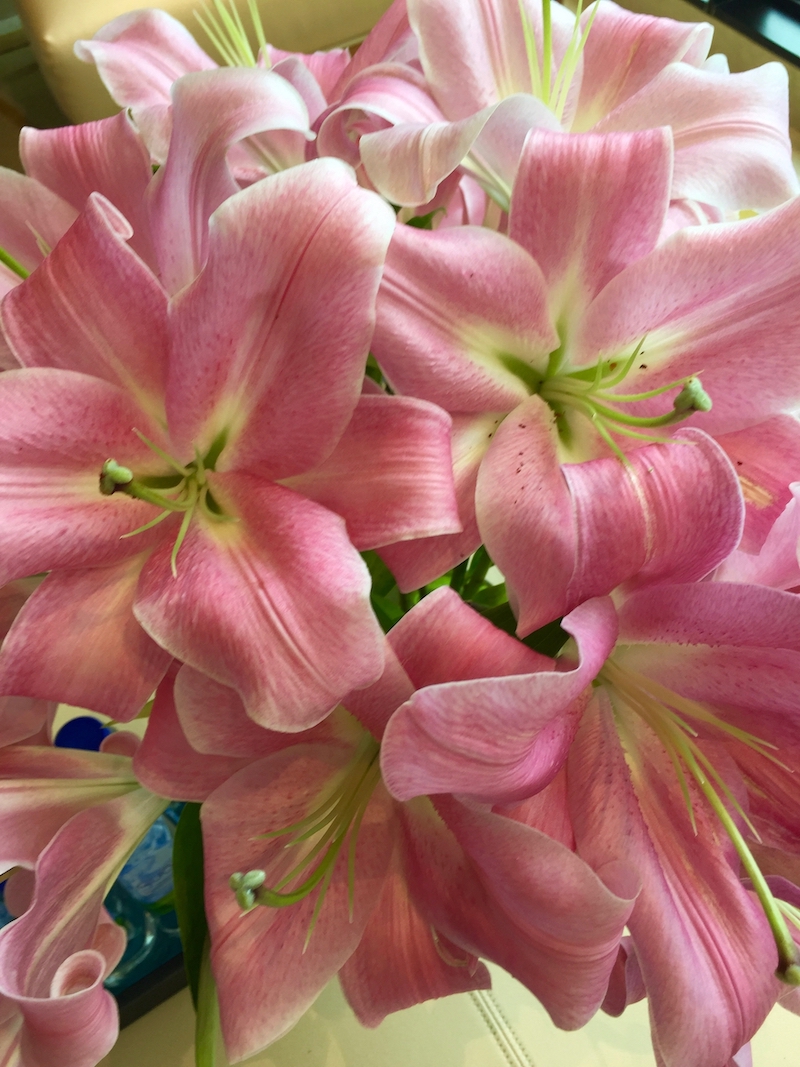 lilies-pink.jpg