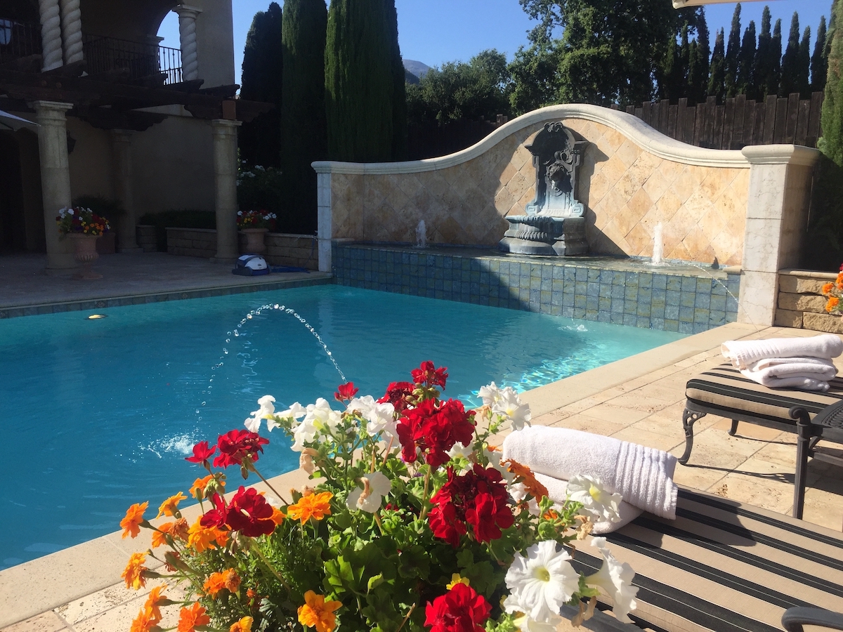 swimming pool, flowers.jpg