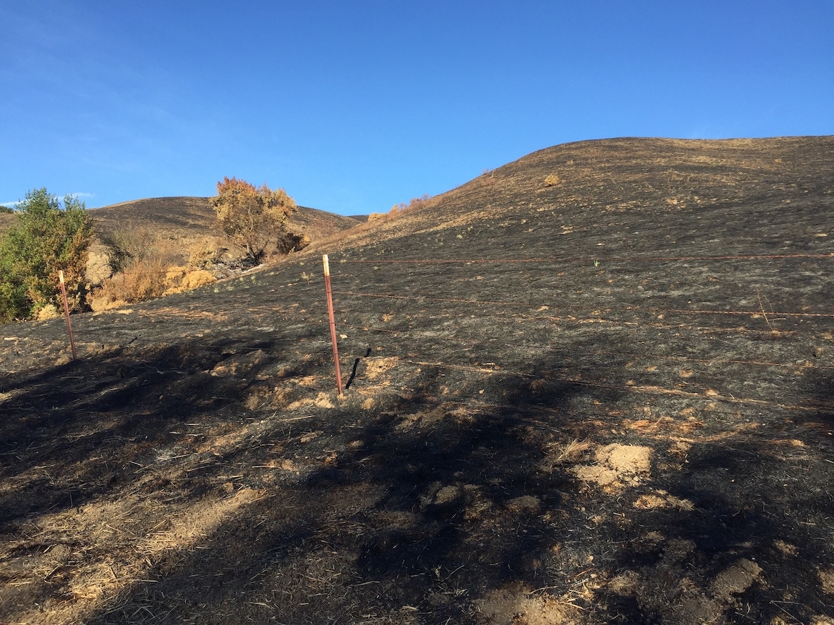 Burned hills of Merrill Fire-to fence.jpg