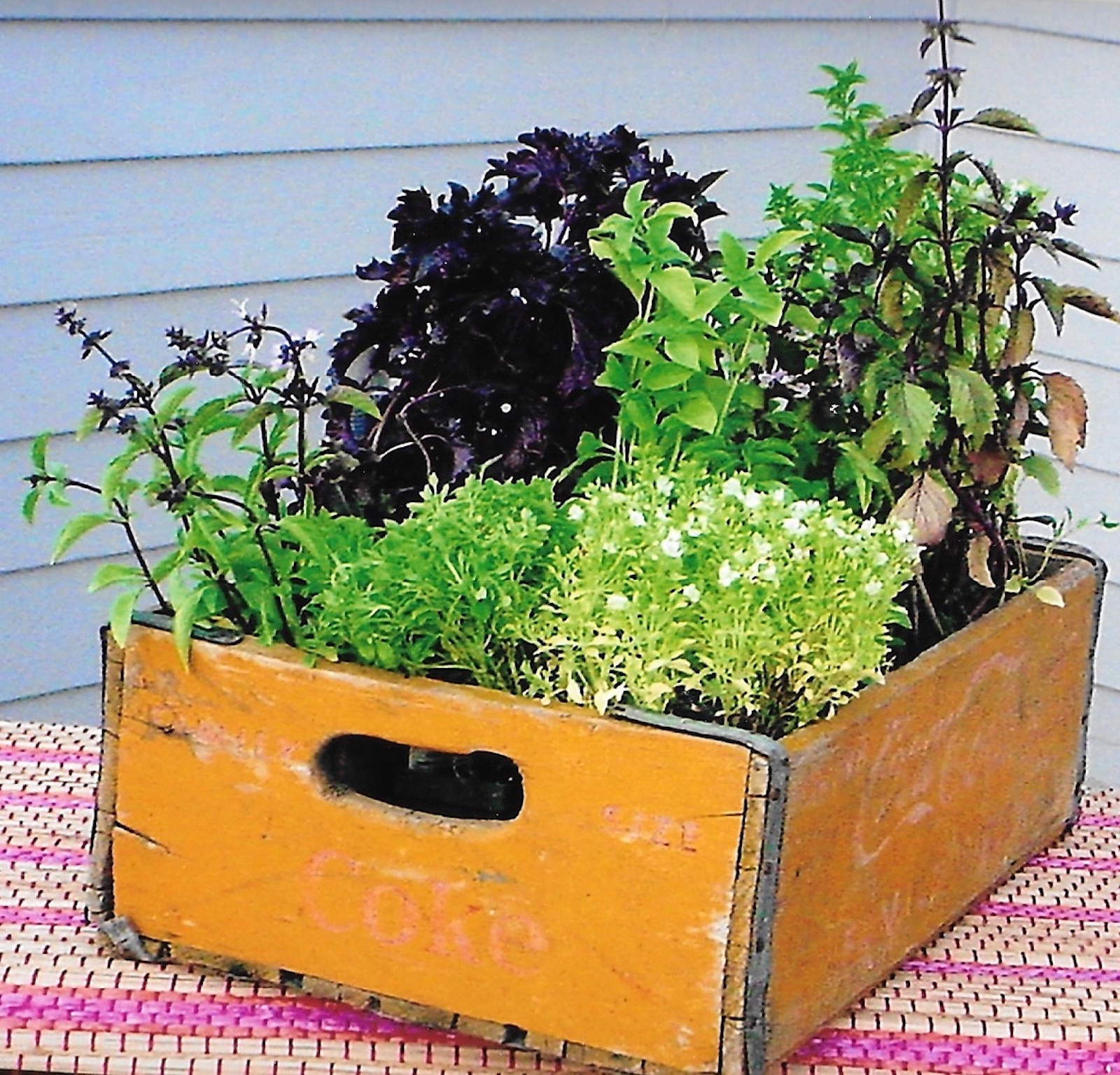 basil, herbs in box.jpg