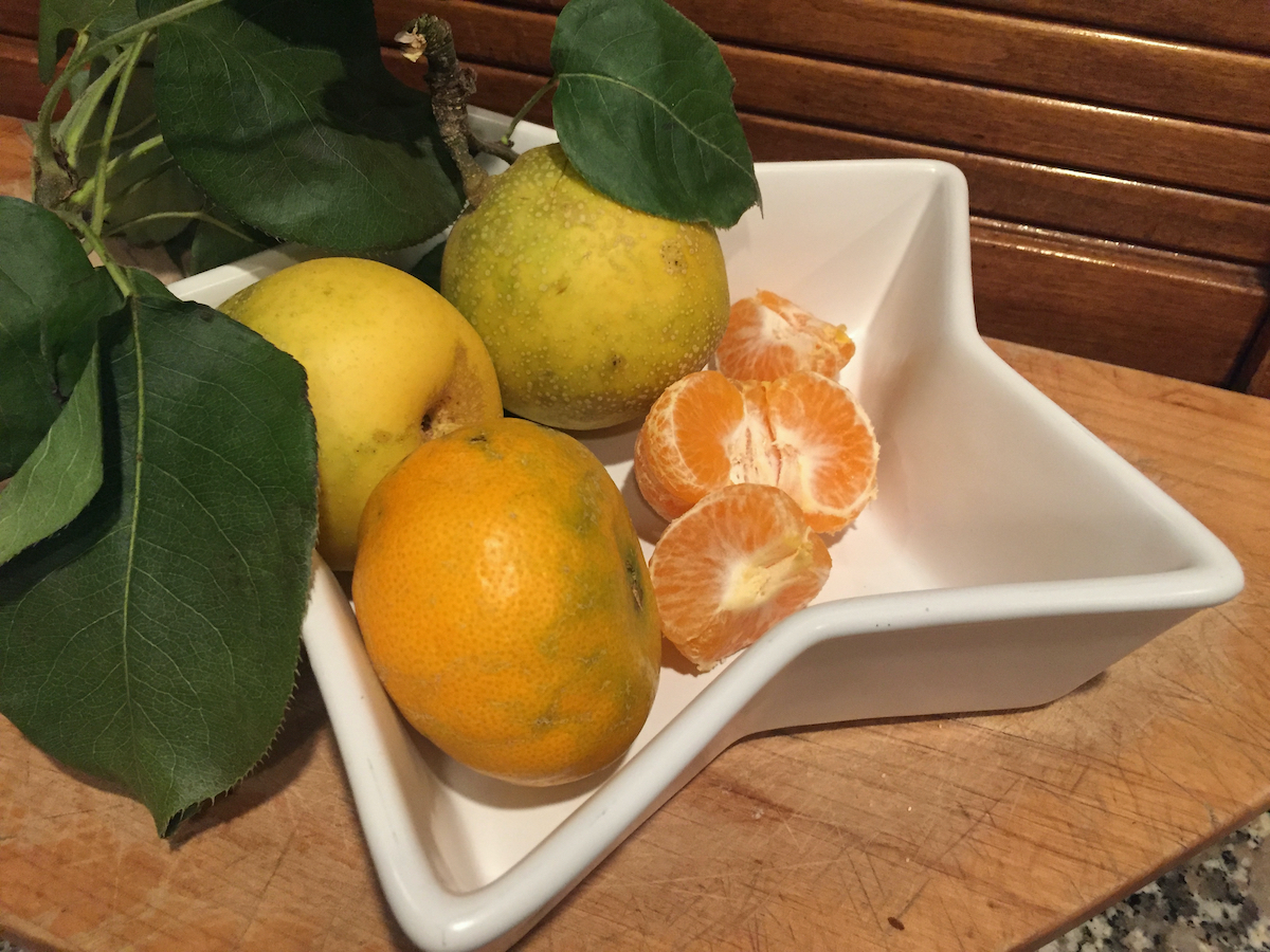 tangerines-asian pears.jpeg