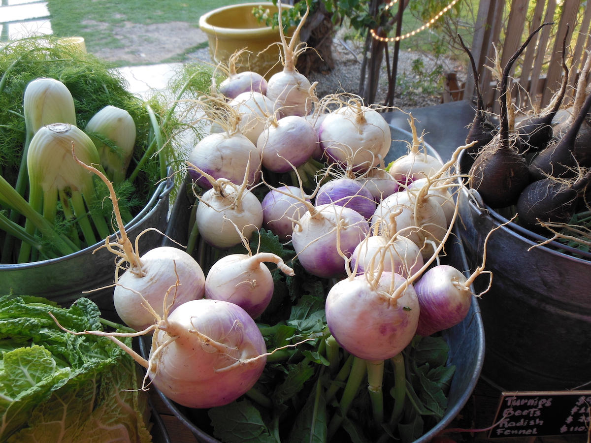 turnips, fennel, beets.jpg