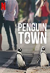Penguin Town * You Will Laugh And Cry As You Discover Just How Human-Like Penguins Are