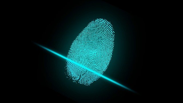 How Do Fingerprint Scanners Work?