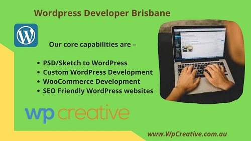 Perks of hiring a professional WordPress Developer Brisbane