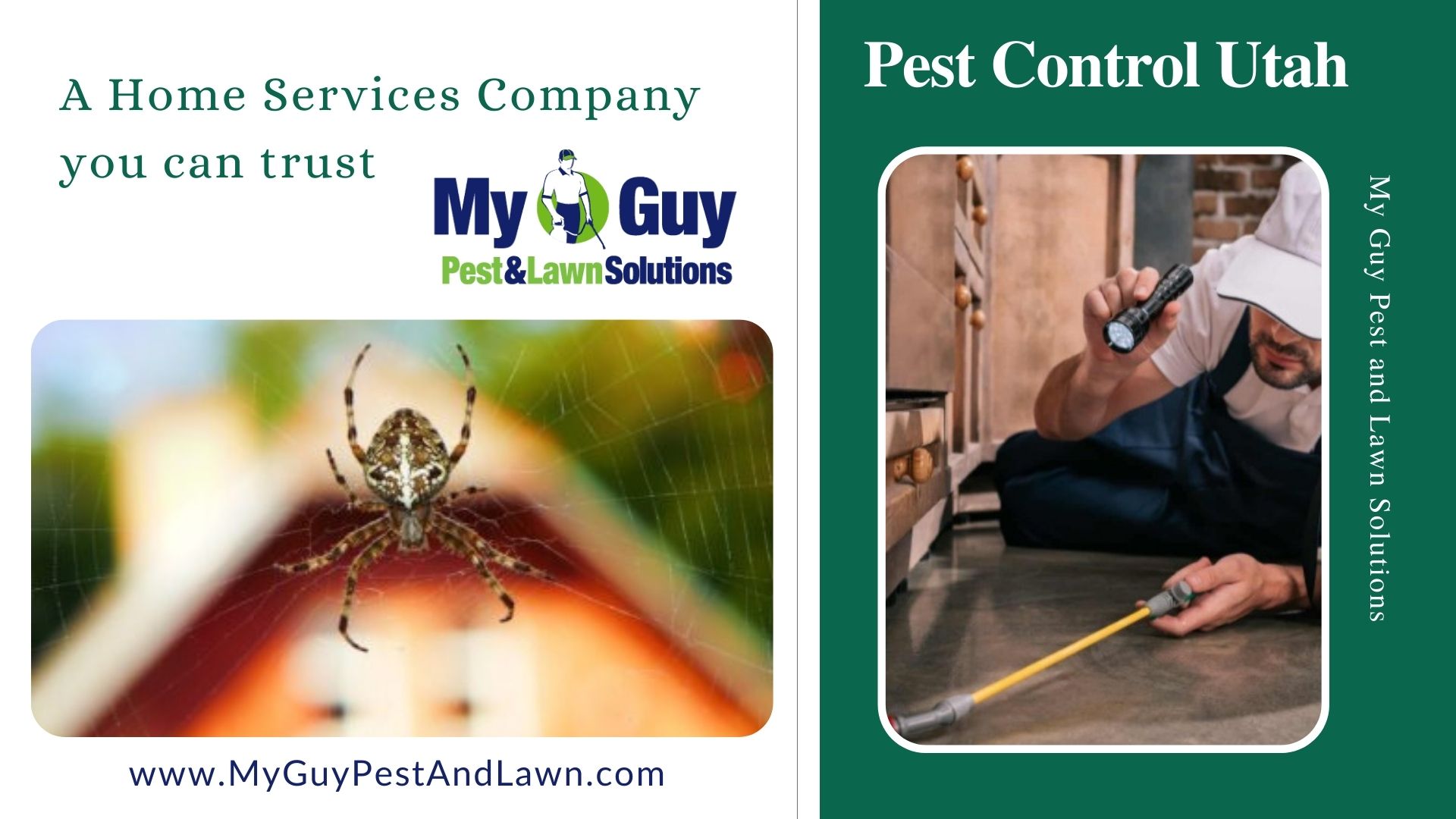 Pest Control Services and Pest Prevention Techniques in Utah